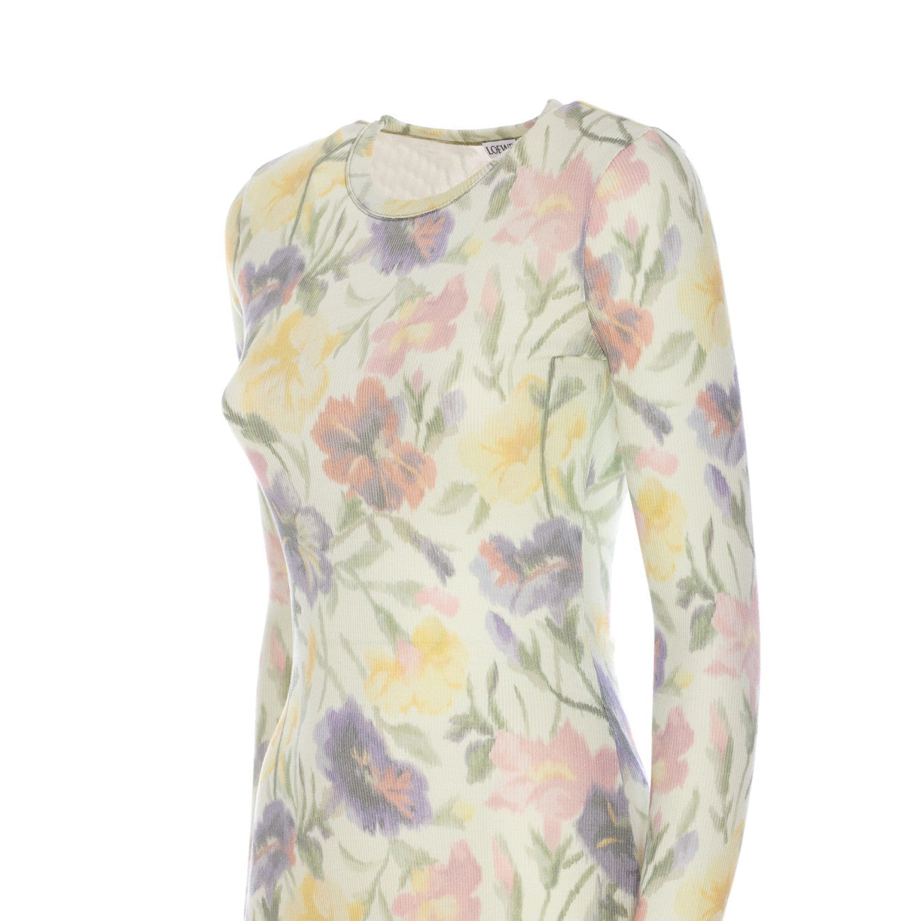 Loewe Women Morning Glory Print Cotton And Silk Multicolor Dress - 3