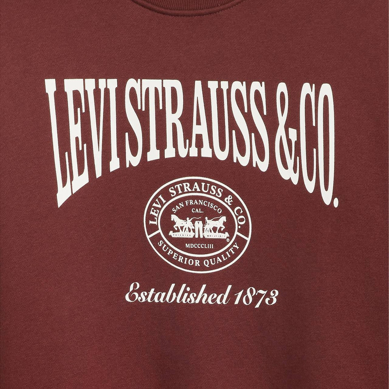 RELAXED GRAPHIC CREWNECK SWEATSHIRT 6