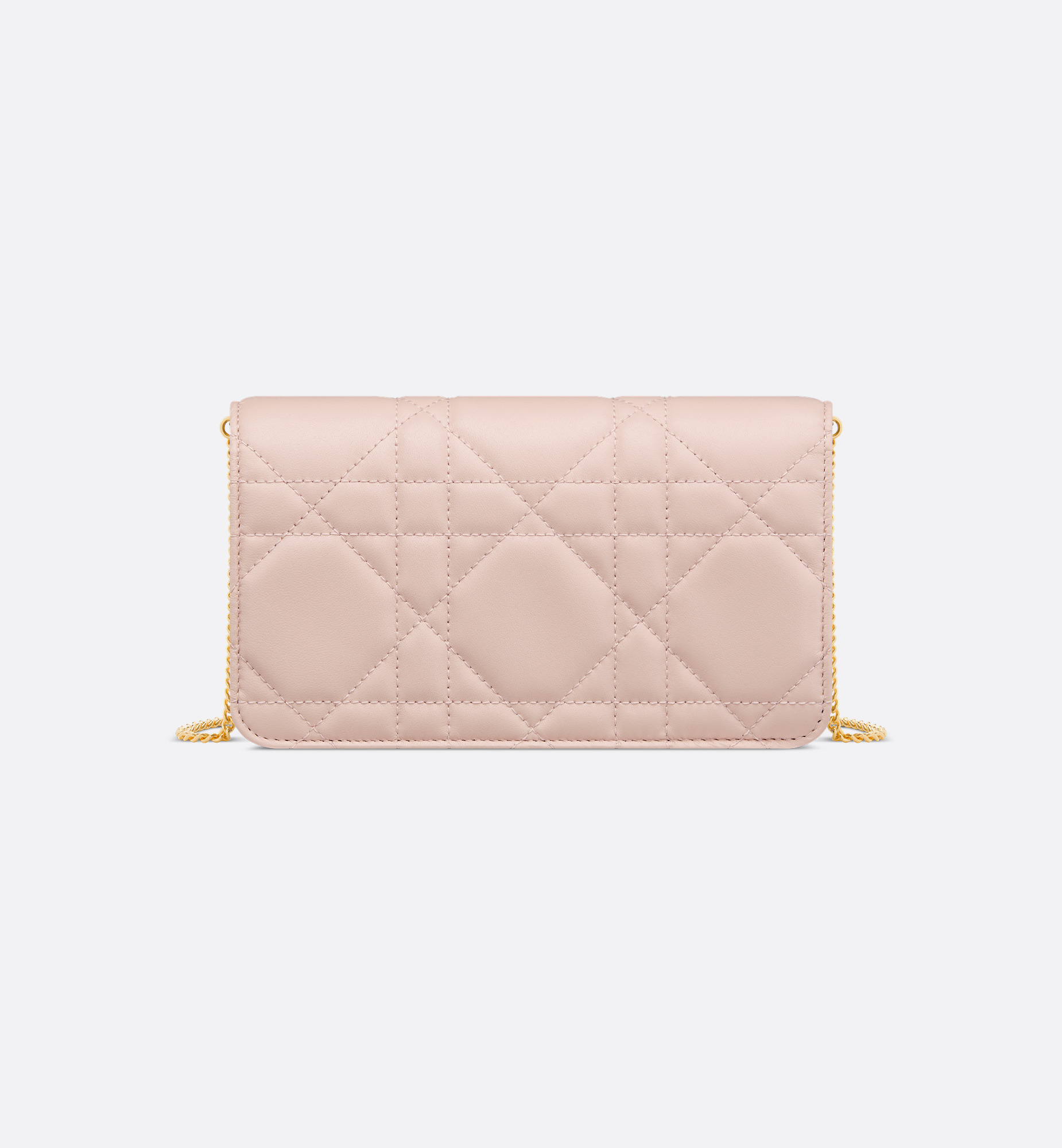 Miss Caro Pouch with Chain - 4