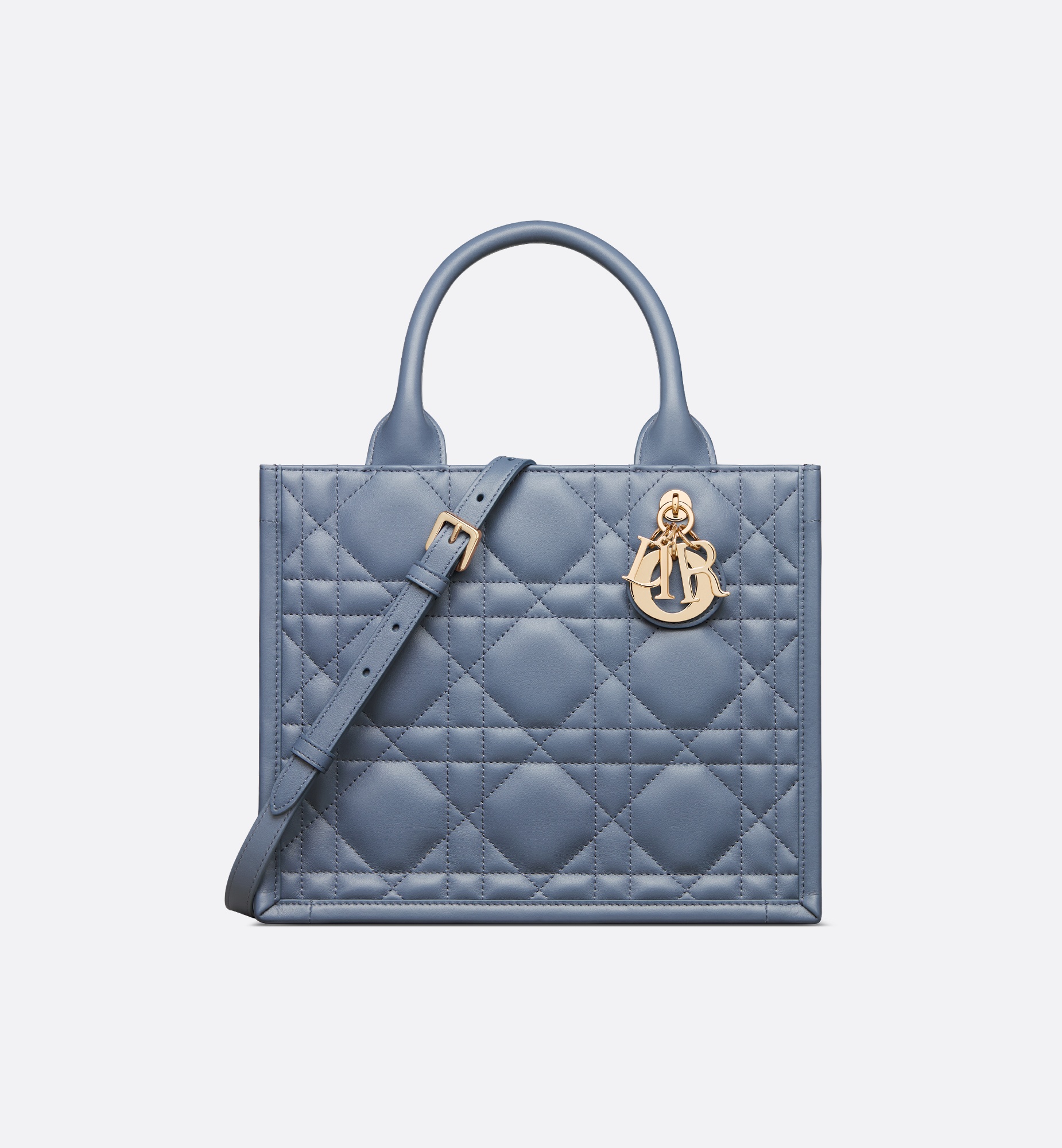 Small Dior Book Tote - 1