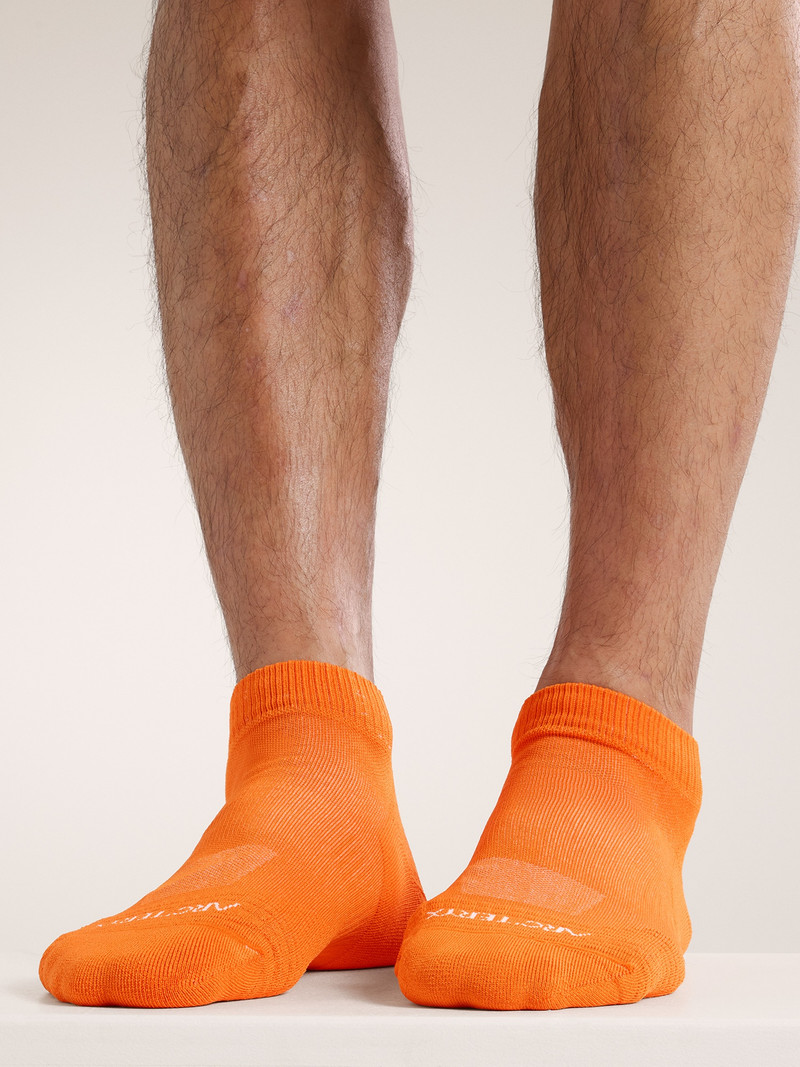 Arc'teryx Synthetic Low Cut Sock outlook