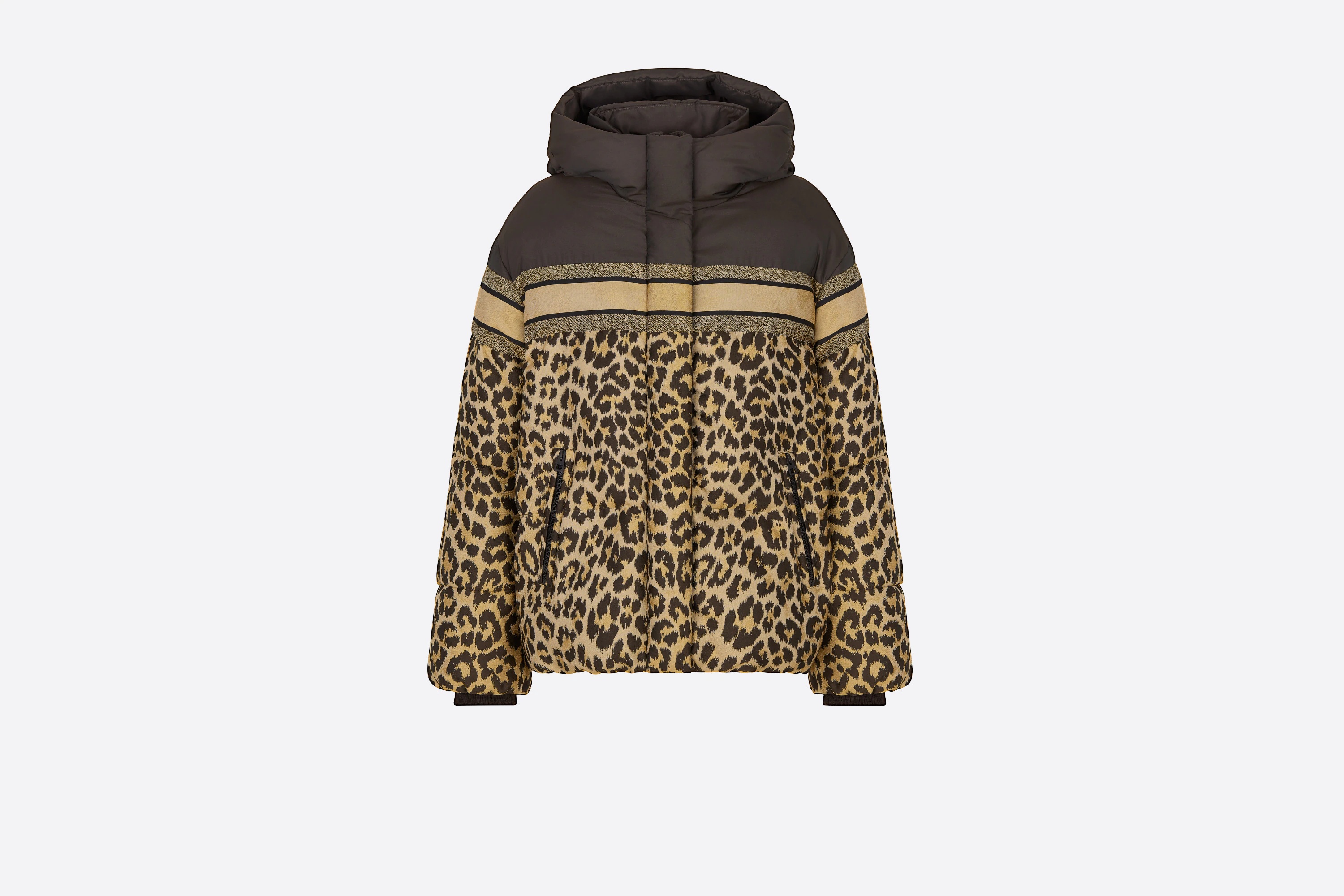 DiorAlps Hooded Down Jacket - 1