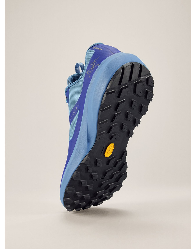Norvan LD 3 GTX Shoe 4