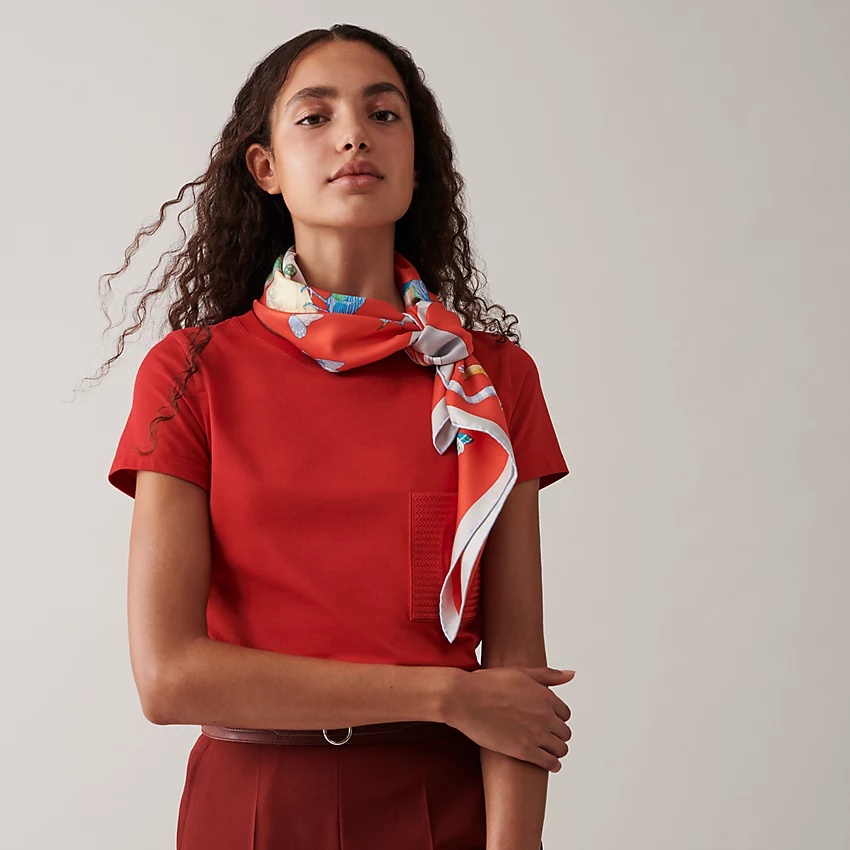 Hermes Story scarf 90 - 2