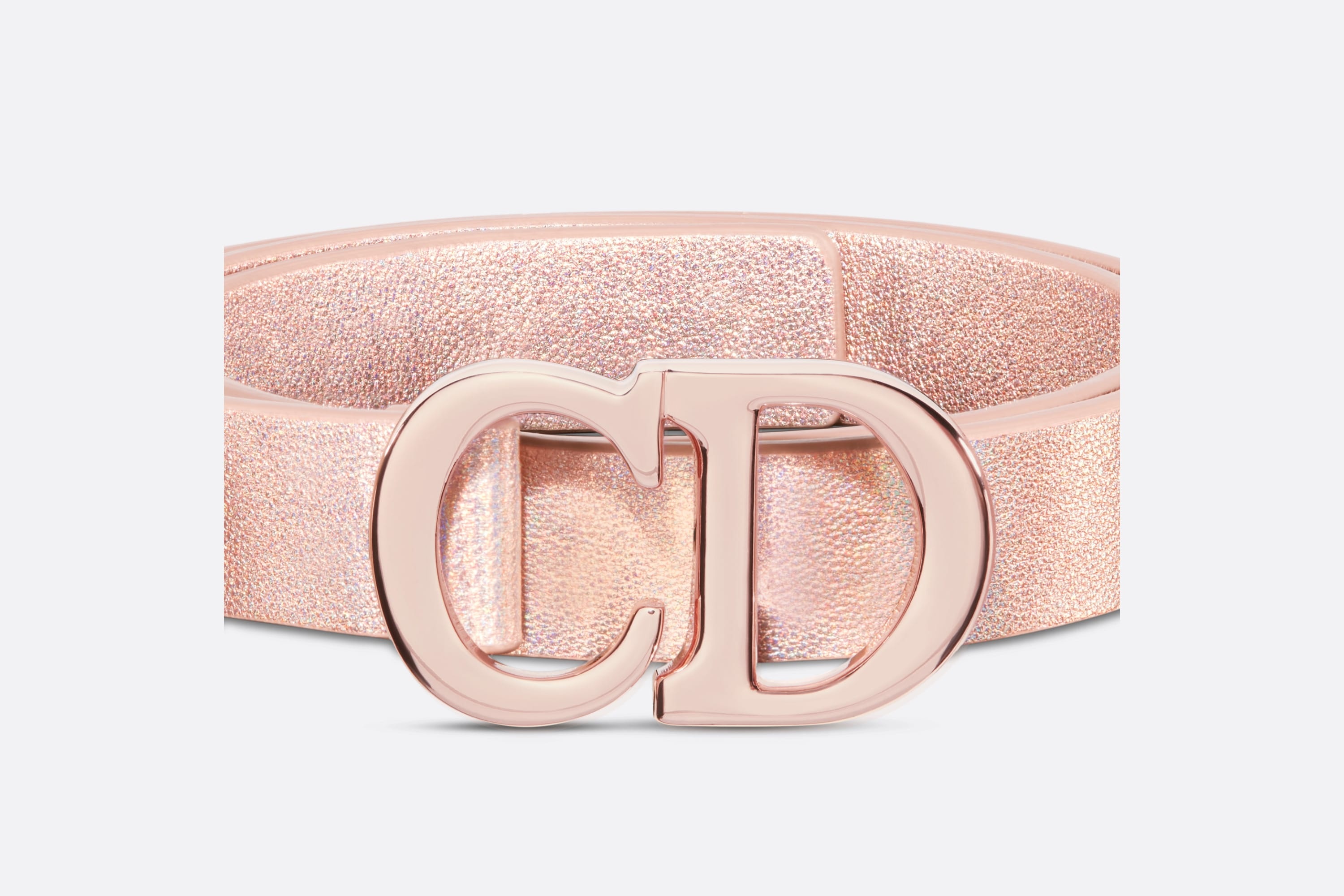 Dior Or Saddle Belt - 5