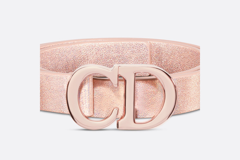 Dior Or Saddle Belt 5