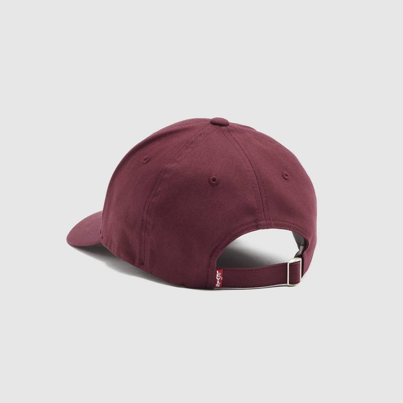 Levi's FLEXFIT HAT outlook