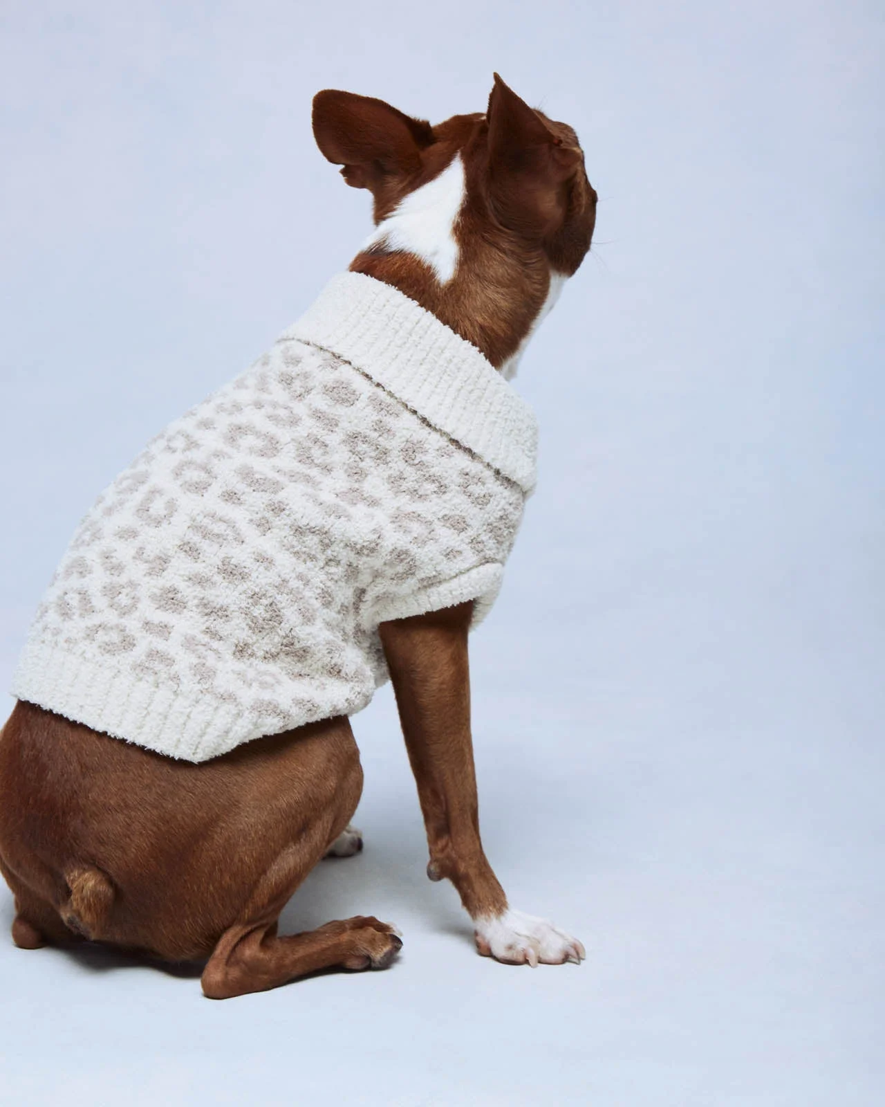 Leopard Fuzzy Pet Sweater - 1