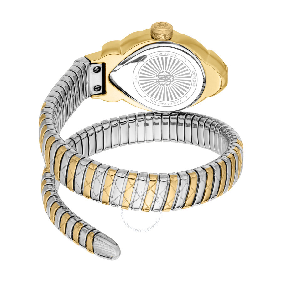 Roberto Cavalli Fiaba Green Dial Ladies Watch RC5L110M0075 - 2