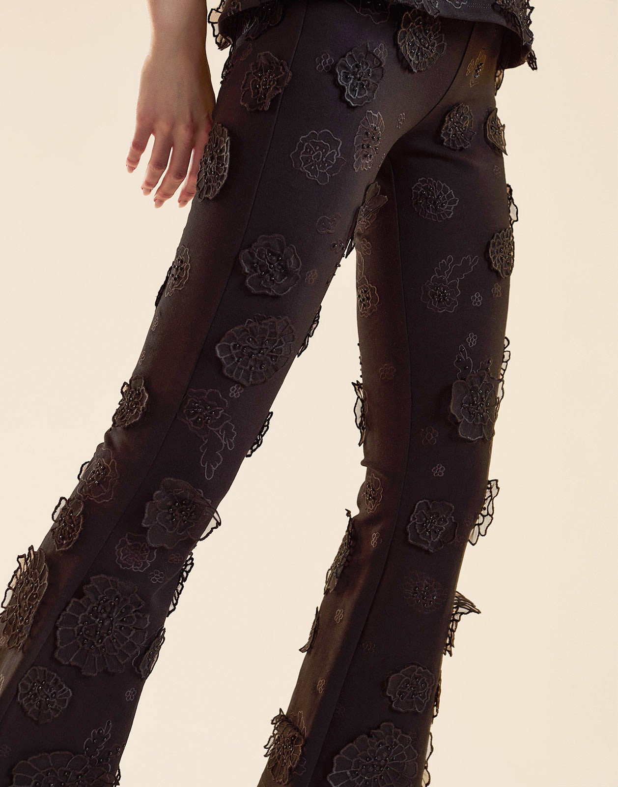 Pop Floral Applique Pant - 5