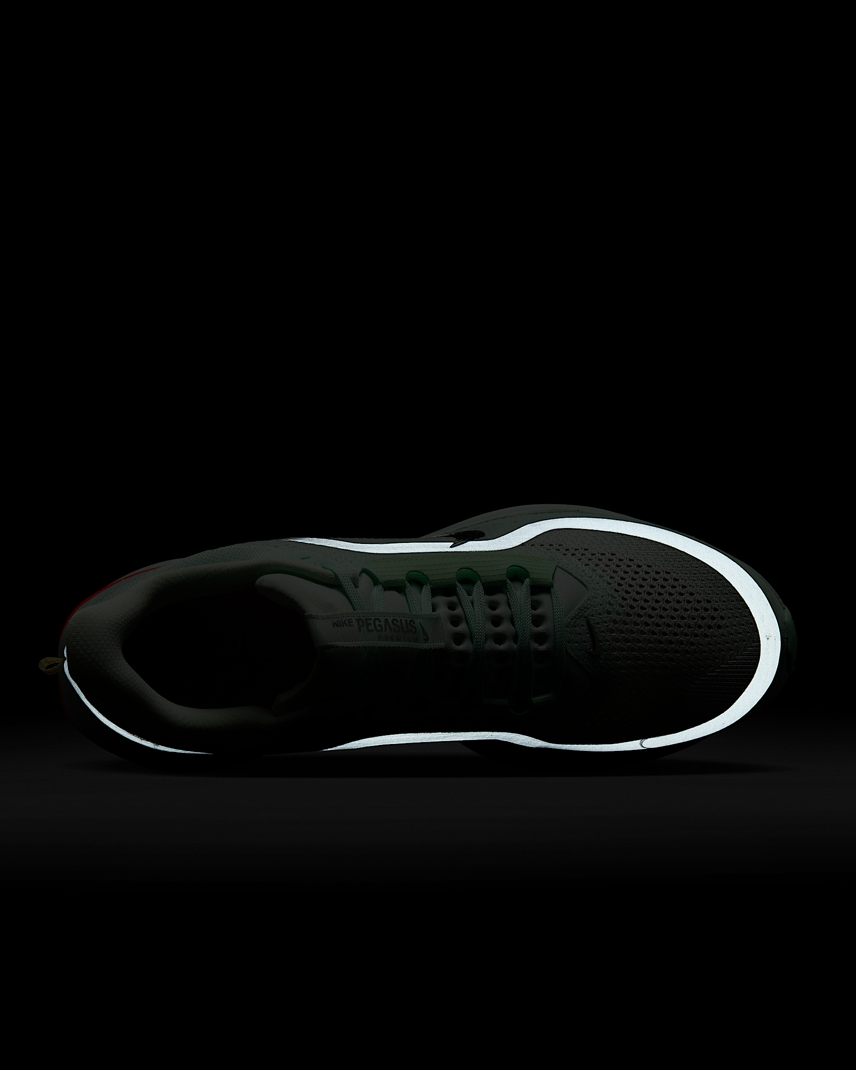 Nike Pegasus Premium Men's Road Running Shoes - 9