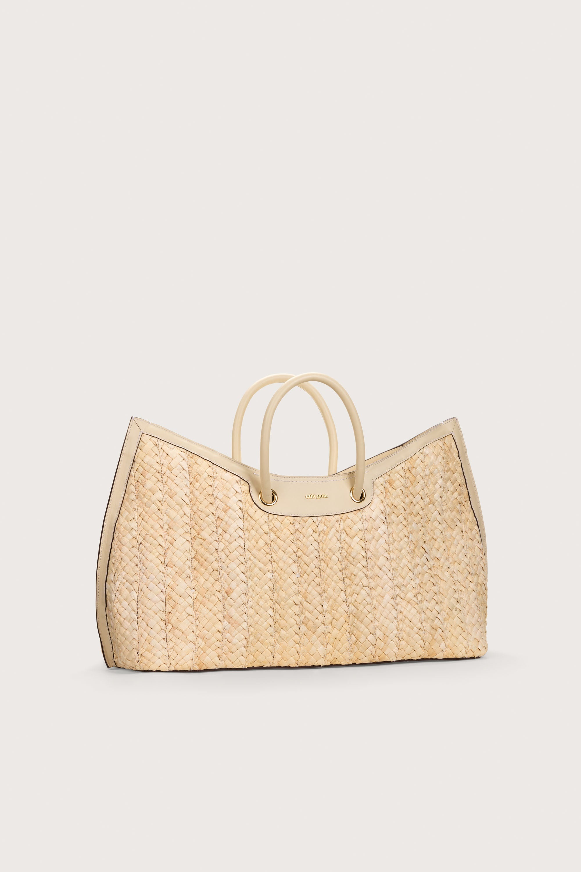 IDALIA WEEKENDER BAG 2