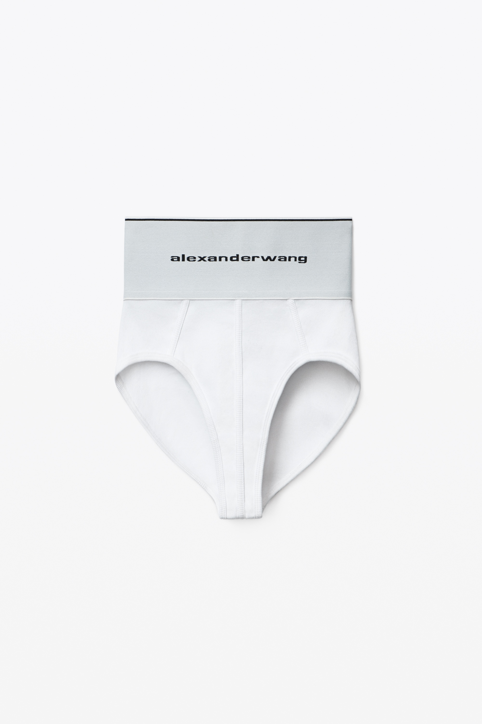 Alexander Wang Logo Elastic Underwear in Black