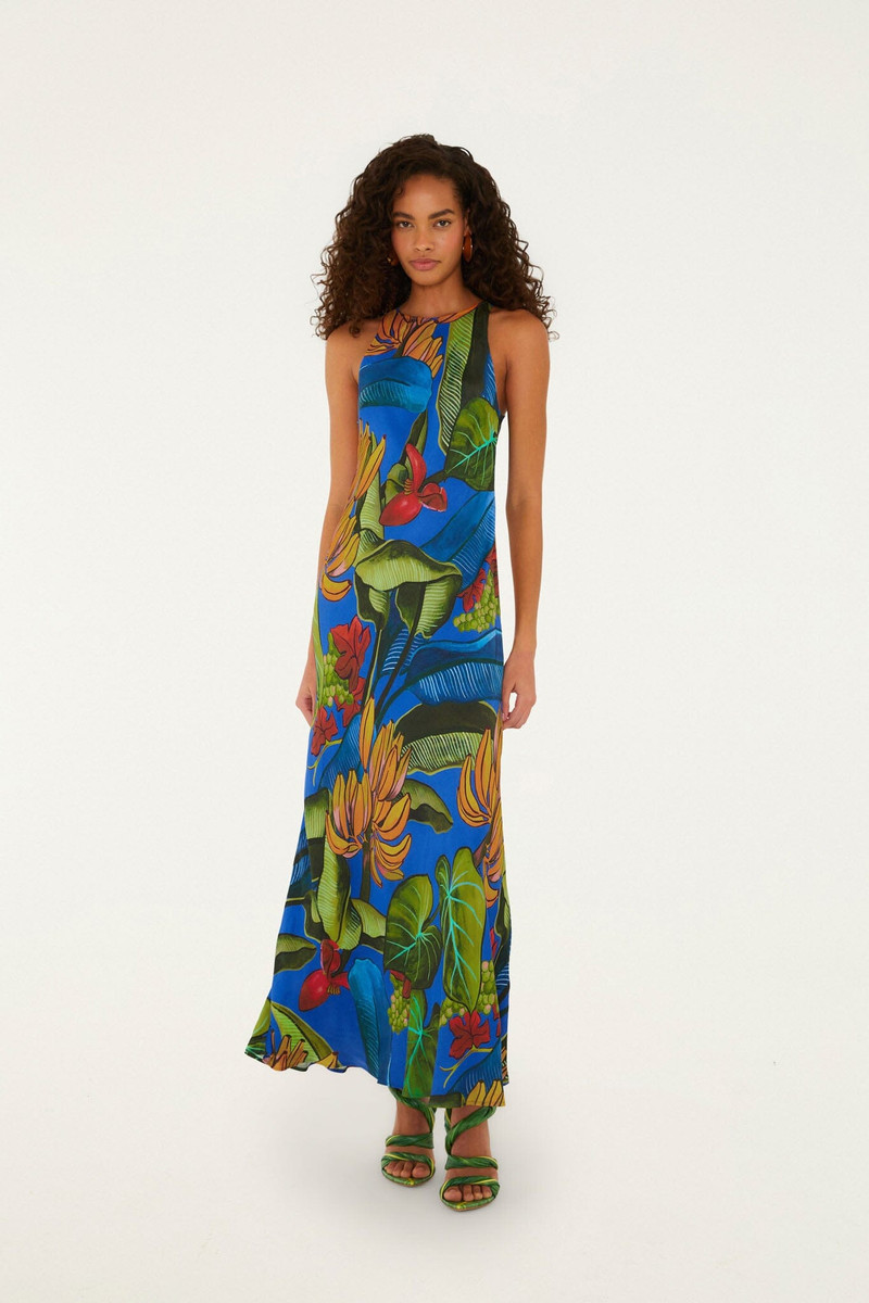 Blue Banana Grapes Sleeveless Lenzing Ecovero Maxi Dress - 1