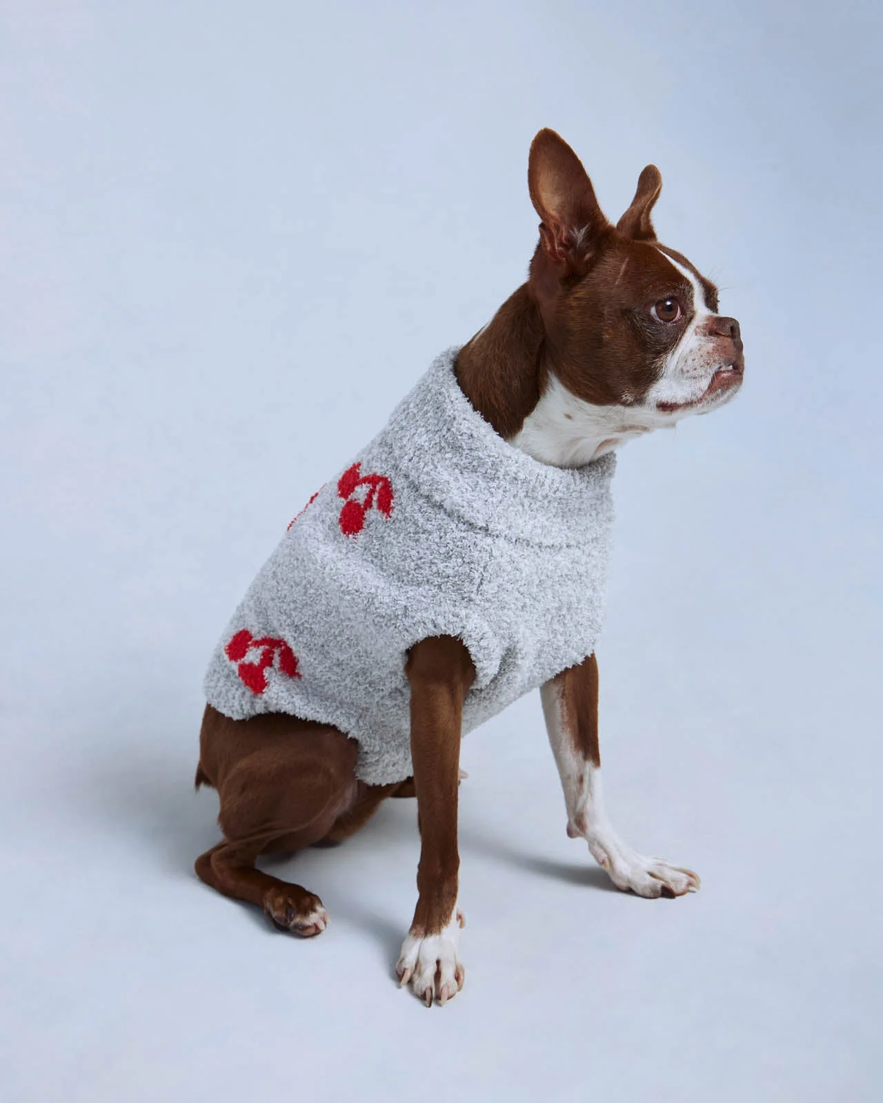 Heather Gray/Red Cherry Fuzzy Pet Sweater - 1
