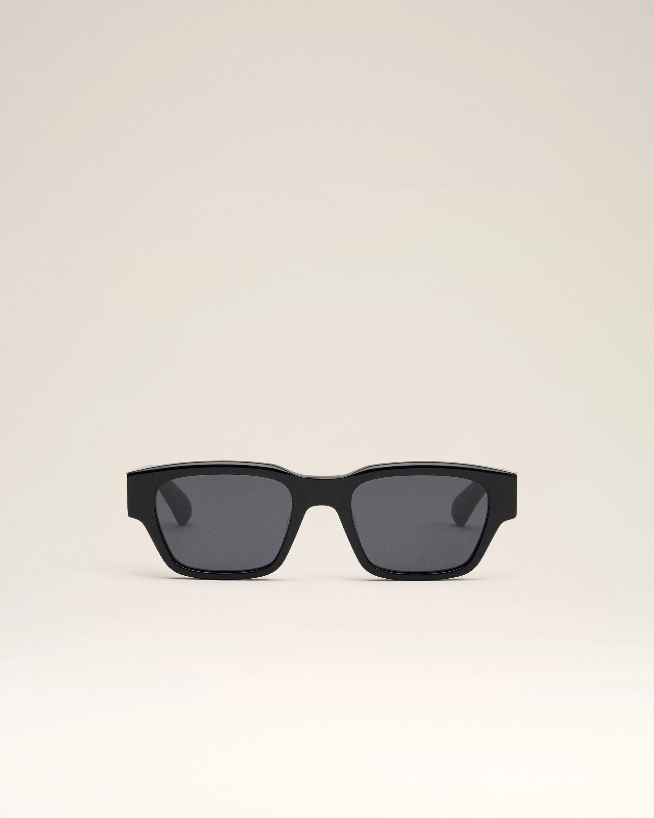 BLACK 75009 SUNGLASSES - 1