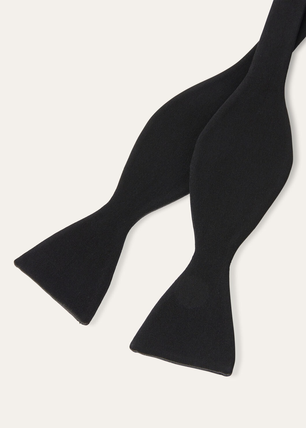 Papillon Bow Tie - 3