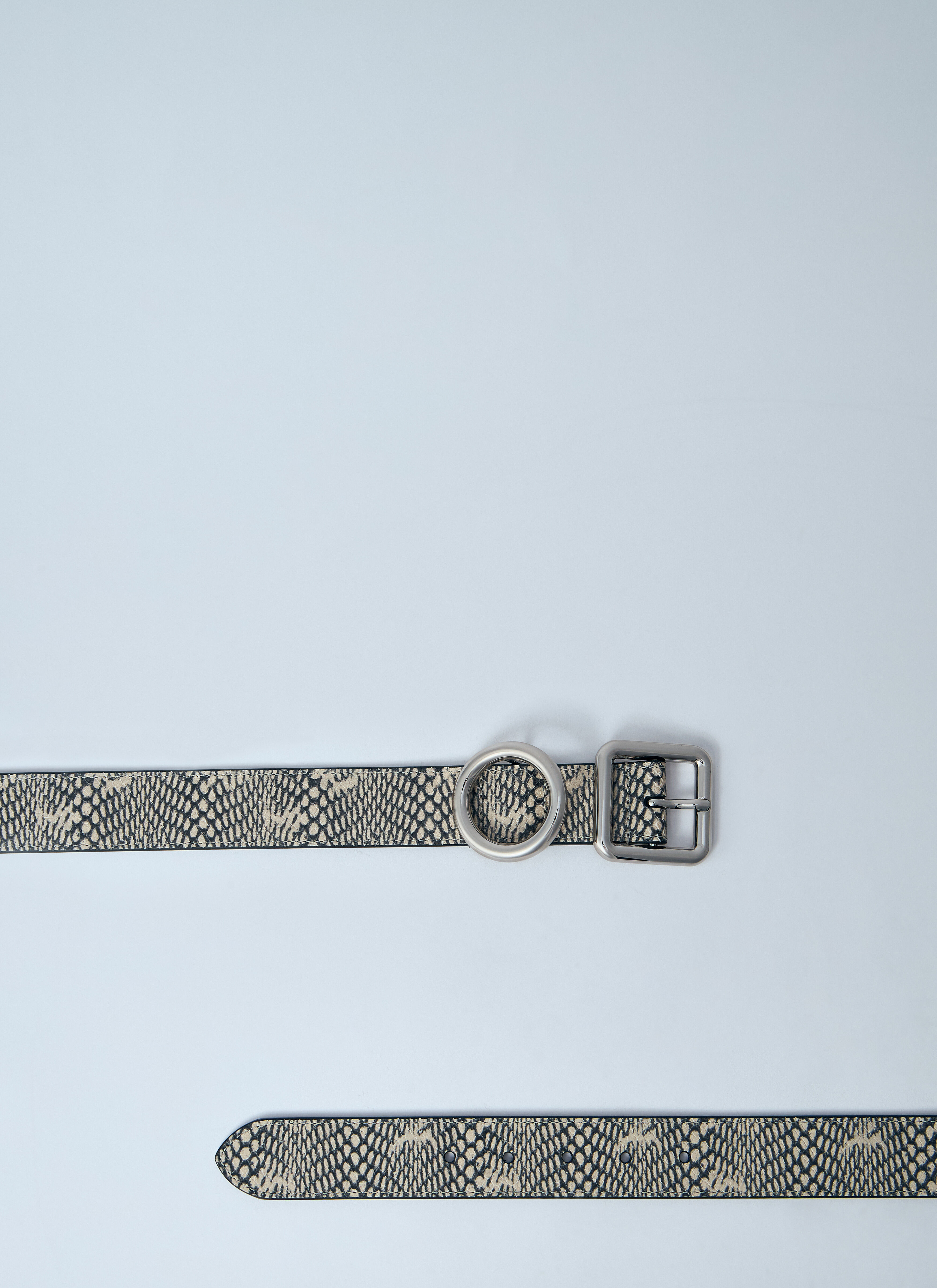 La Ceinture Regalo Belt - 4