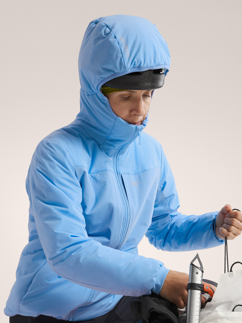 Proton Heavyweight Hoody 6