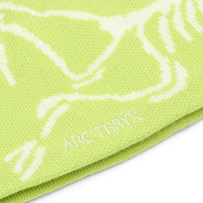 Arc'teryx Arc'teryx Bird Head Toque outlook