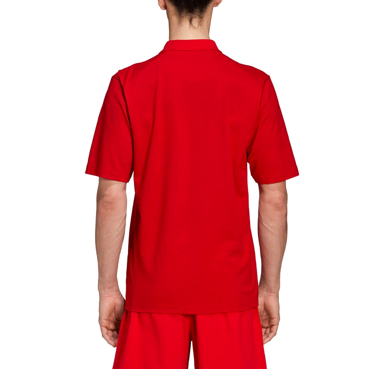 Men's Y-3 Logo Short Sleeve Polo Shirt Red GV4249 - 5
