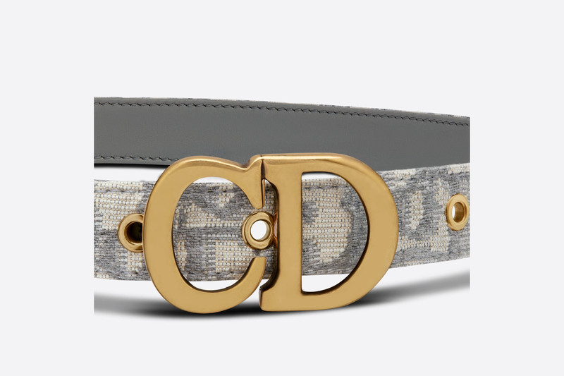 Dior Saddle Belt outlook