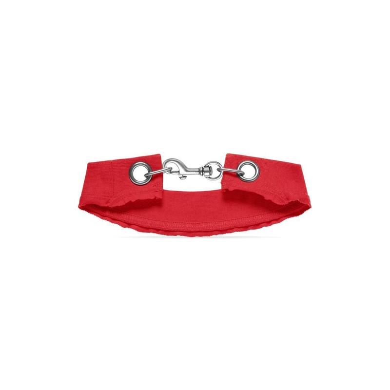 BALENCIAGA Collar Choker  in Red outlook