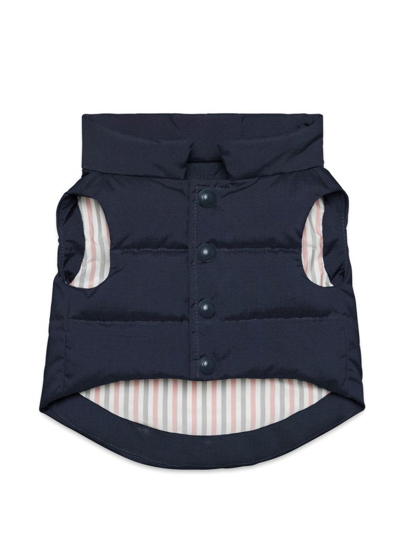 football dog vest 1