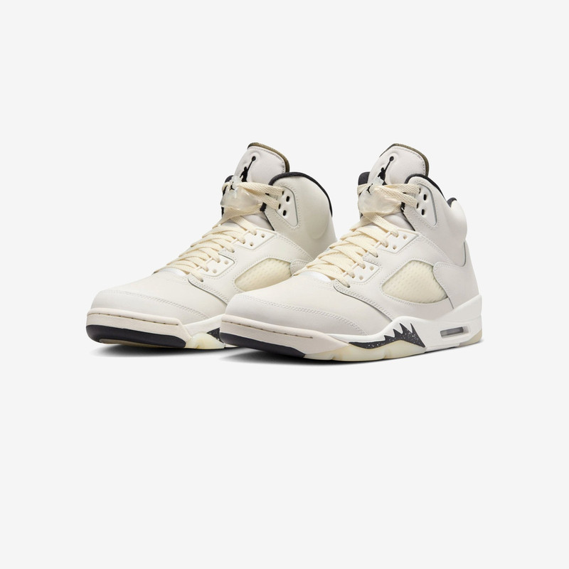 Jordan Air Jordan 5 Retro SE outlook