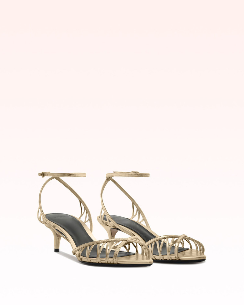 SOLENE 50 GOLDEN 2