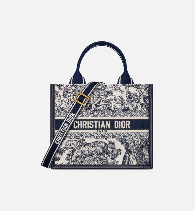 Small Dior Book Tote 1