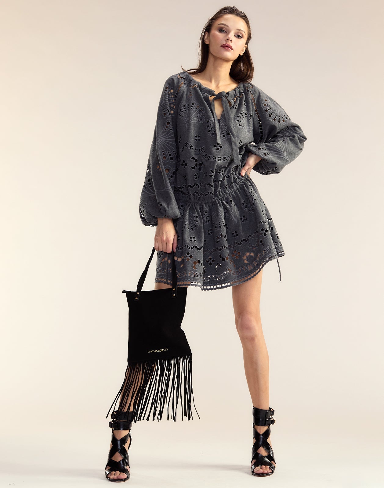 Wellesley Embroidered Dress - 2
