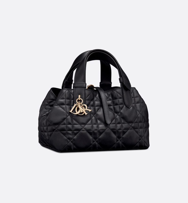 Small Dior Toujours Bag 1