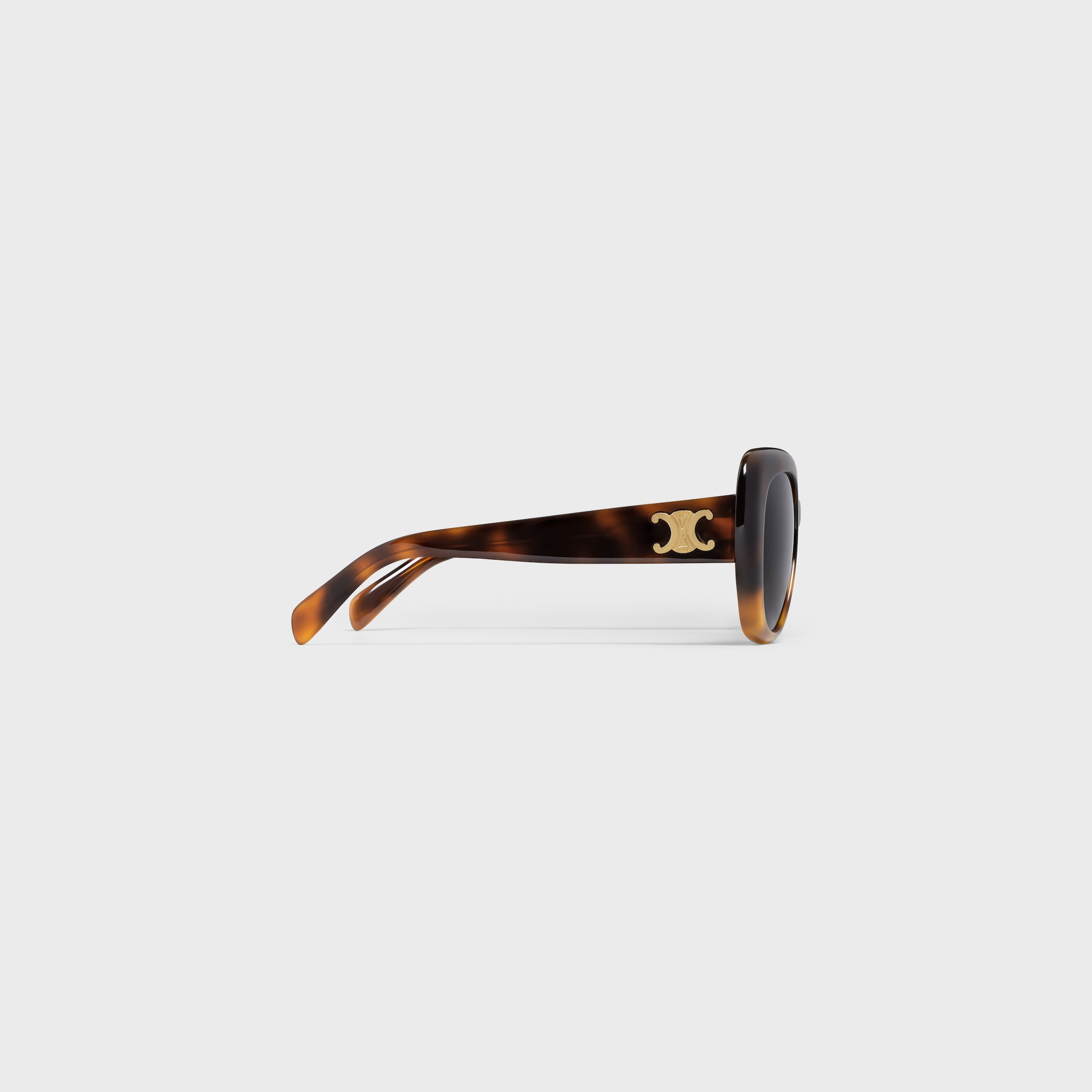 Triomphe 06 Sunglasses in Acetate - 4