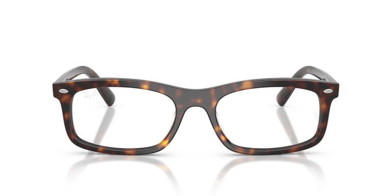 RB5450 OPTICS 4
