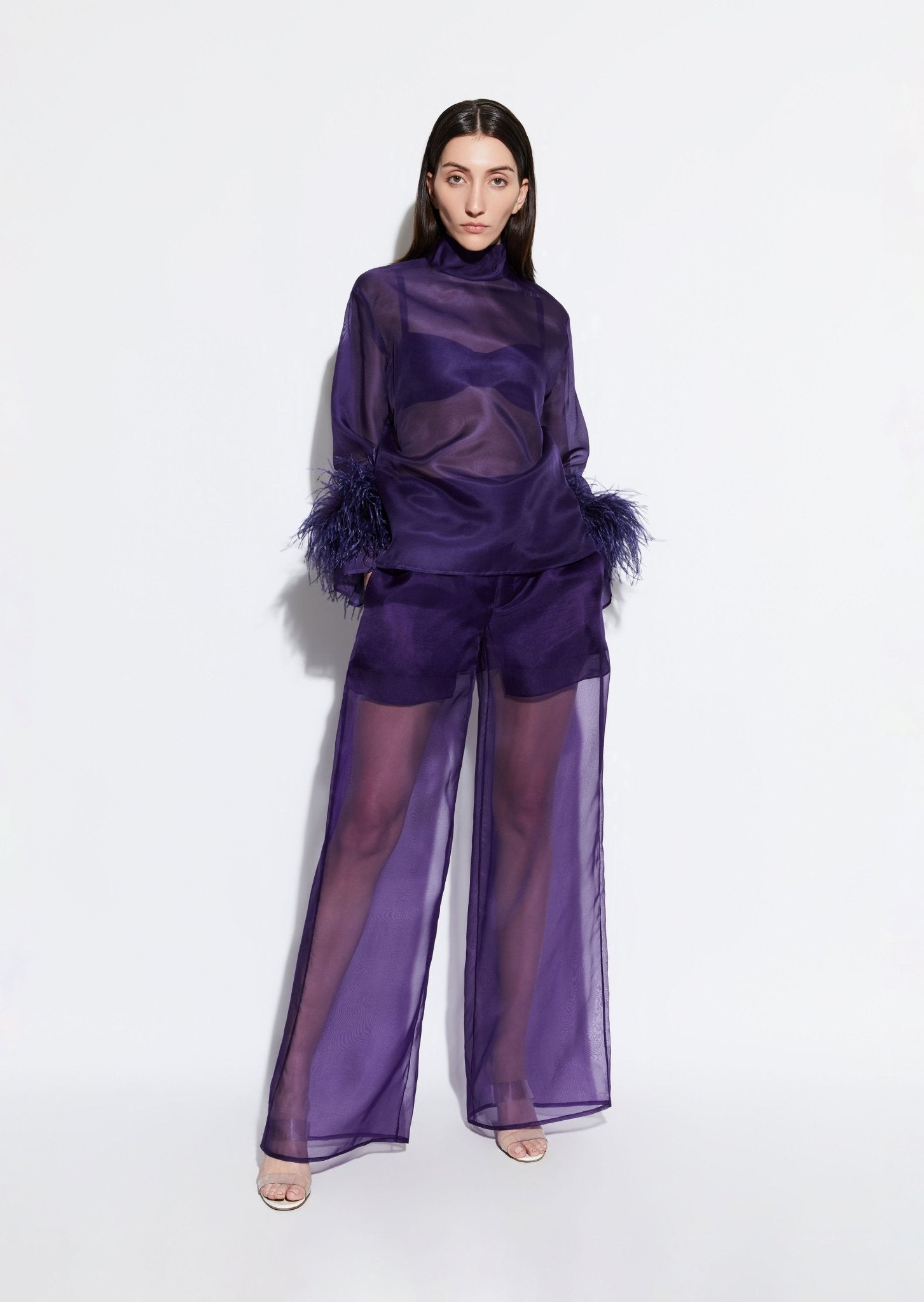 Organza Top With Feathers - 2