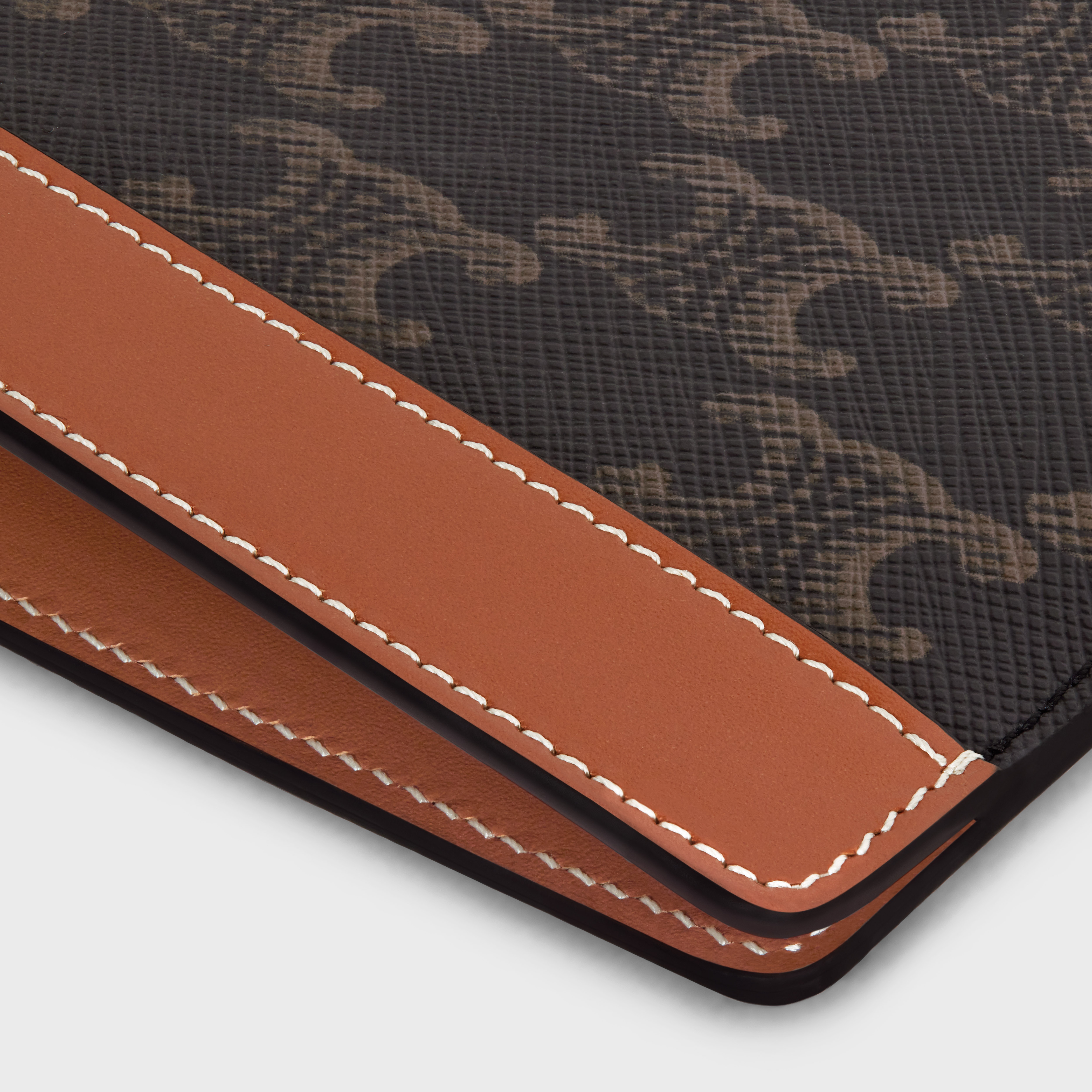 ipad pro sleeve in Triomphe Canvas and Calfskin - 4