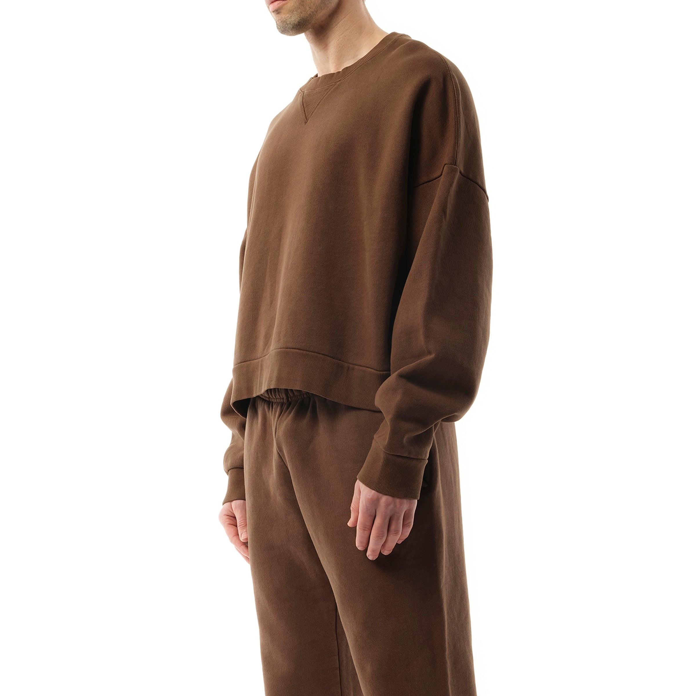 Box Sweatshirt in Brunette - 5