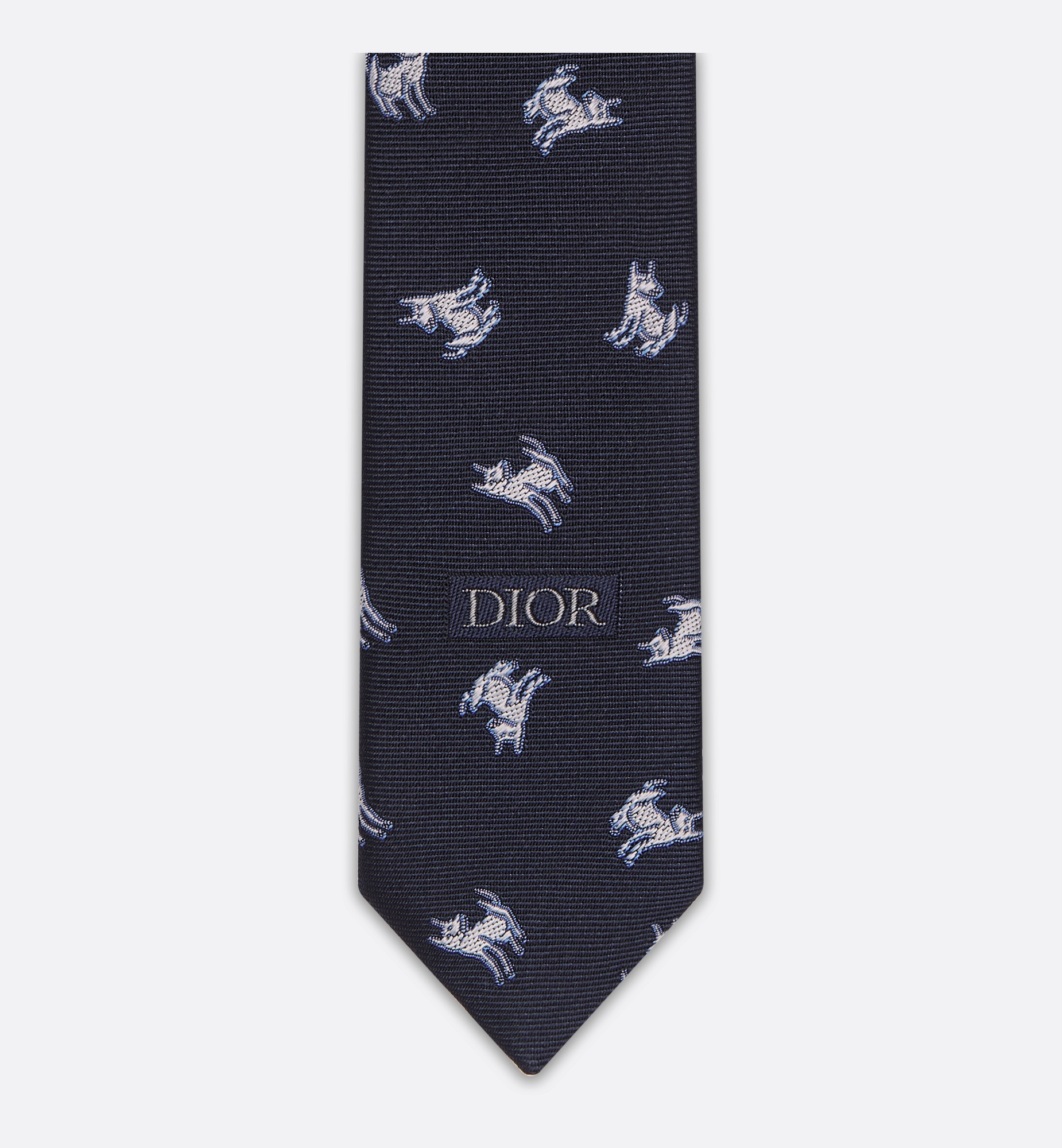 Dior DIOR AND HYLTON NEL Tie | REVERSIBLE