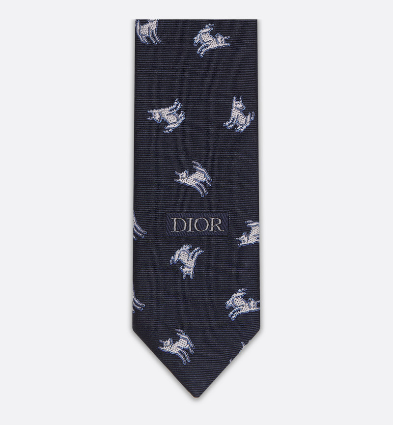 DIOR AND HYLTON NEL Tie 3