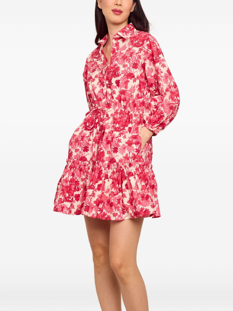 Cara Cara Robin dress outlook