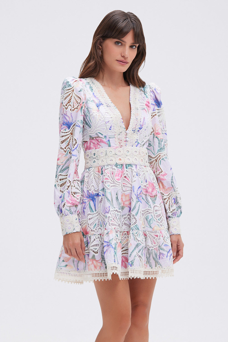 AMARYLLIS EMBROIDERED MINI DRESS 1