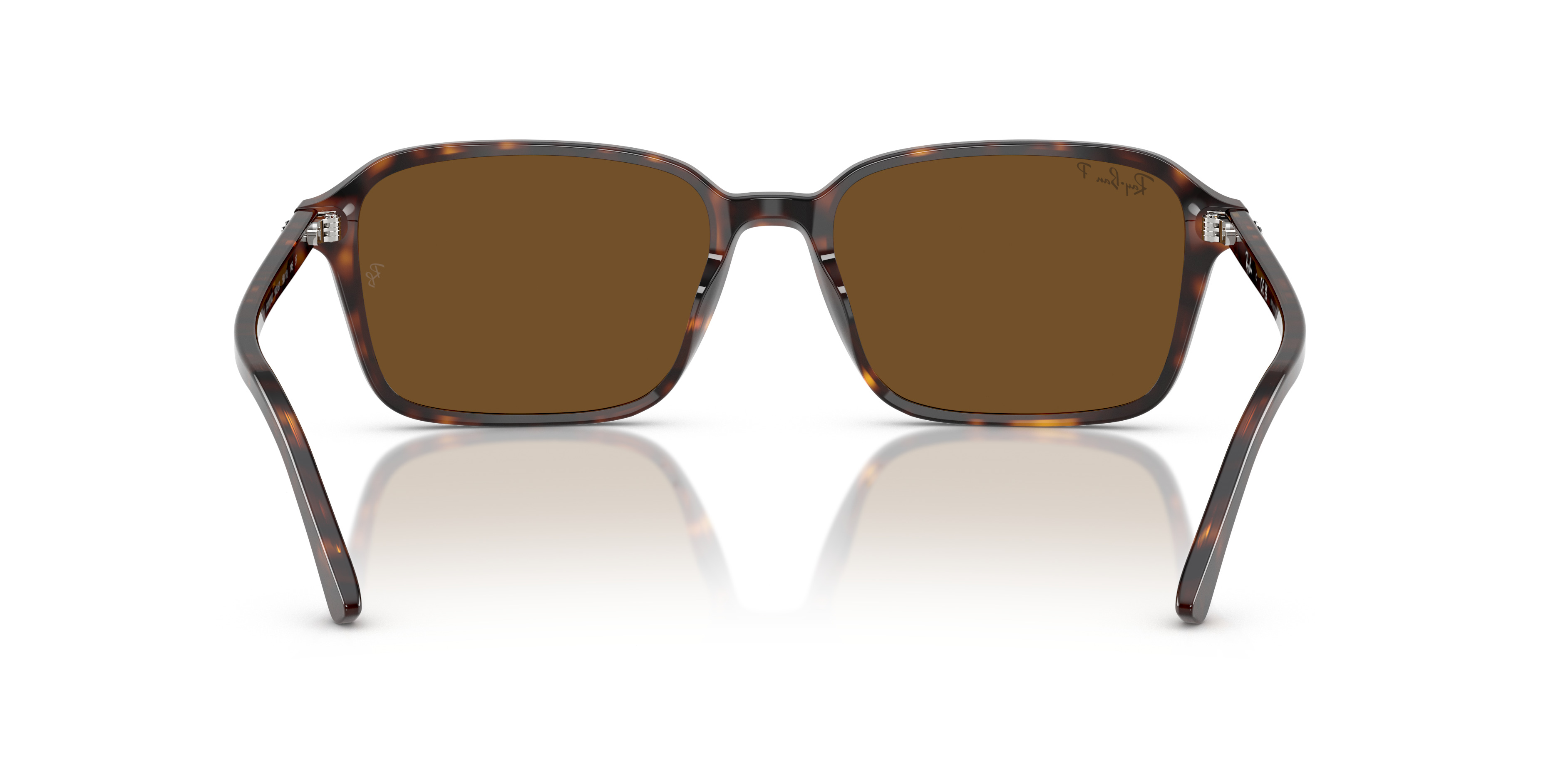 RB2231 Raimond - 4