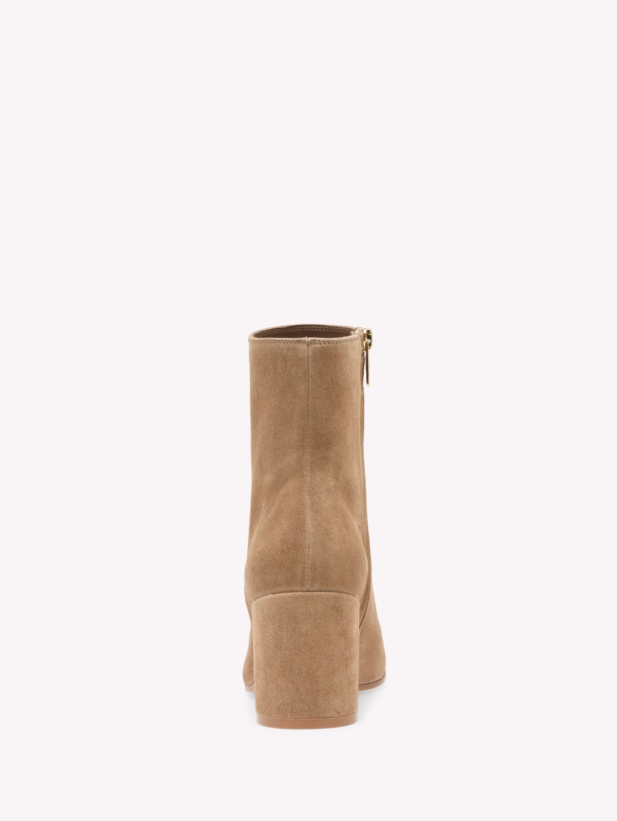 Gianvito Rossi Joelle Booties in Brown at Nordstrom - 4