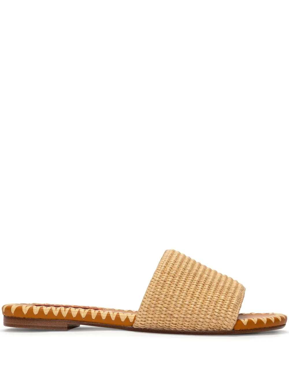 Raffia Salerno slides - 1
