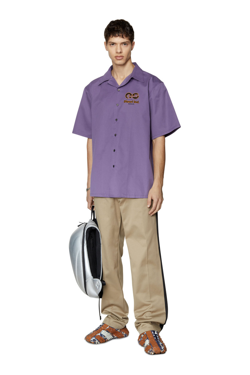 Diesel S-FRANK outlook