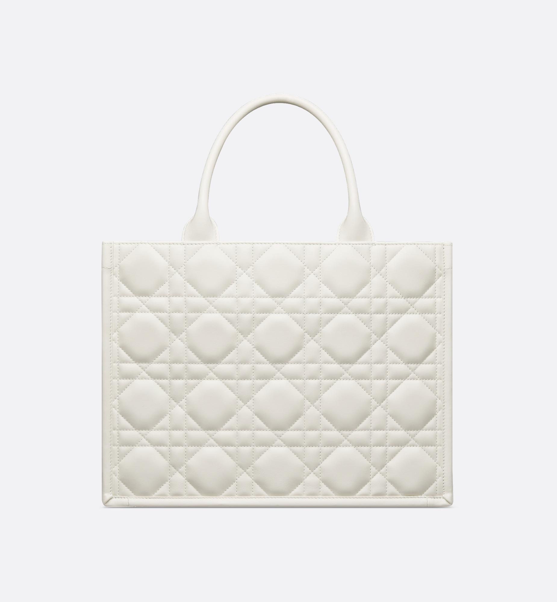 Medium Dior Book Tote - 2