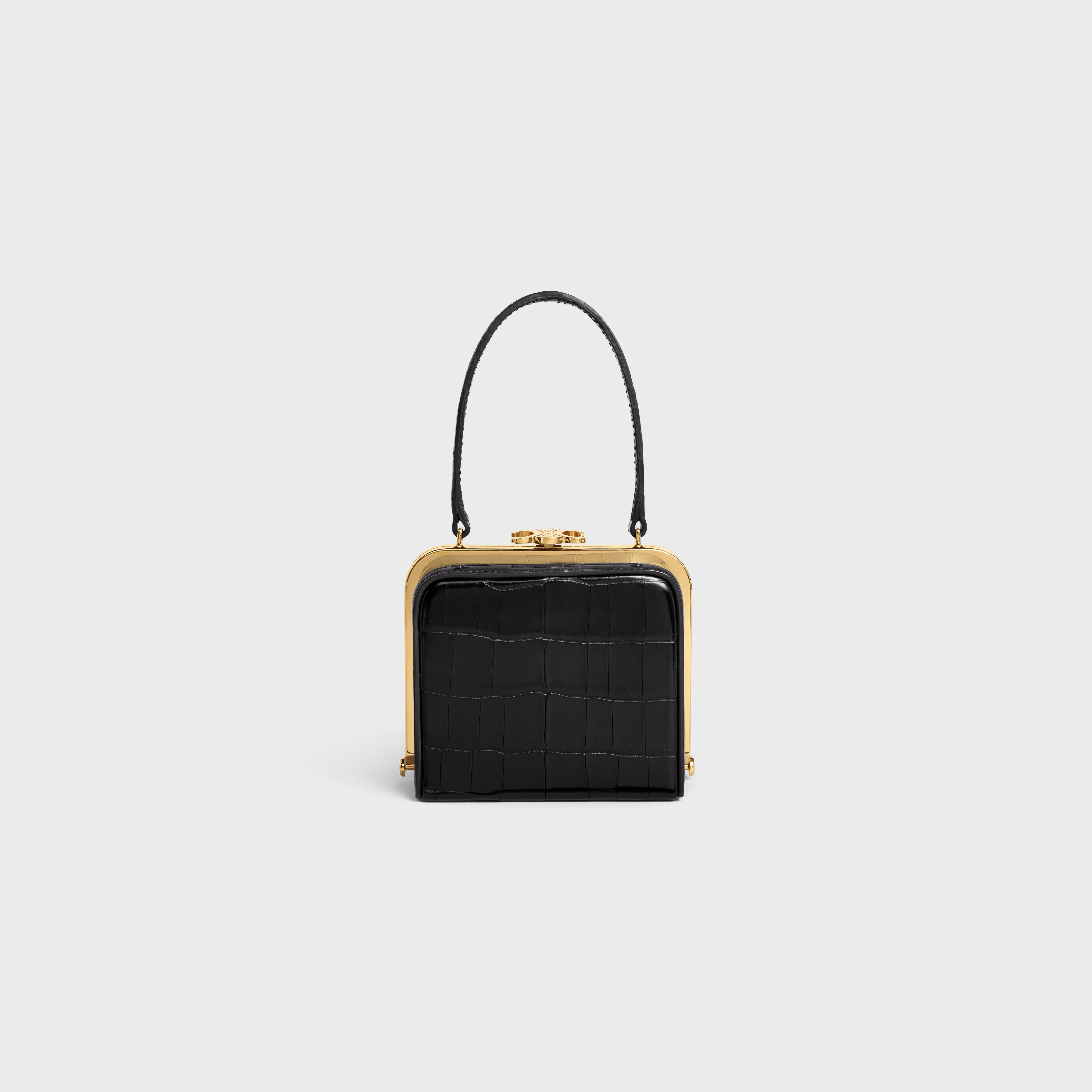 CELINE LANA MINAUDIERE in Niloticus Crocodile - 3