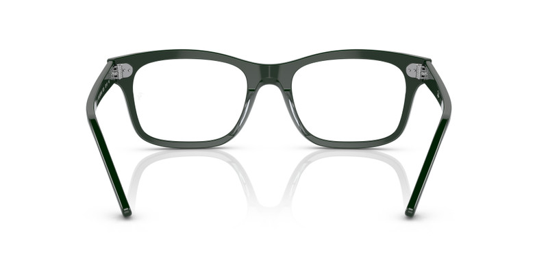 RB5387 OPTICS 6