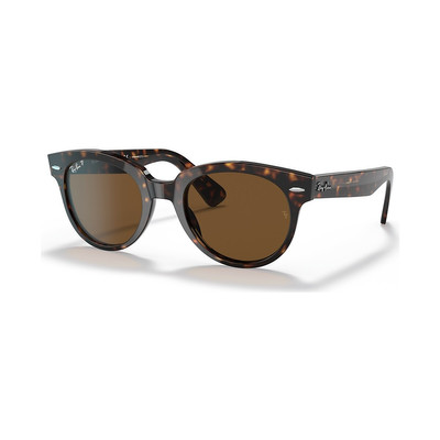 Ray-Ban RB2199 Orion outlook